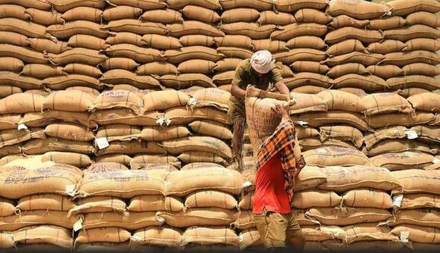 
Trong bối cảnh nhu cầu tiêu thụ gạo trên thế giới ngày càng tăng, thế nhưng thời tiết thất thường tại Ấn Độ đã khiến mùa màng ở nước này trở nên bấp bênh. Ảnh minh họa

