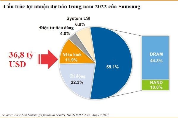 
Cấu trúc lợi nhuận dự báo trong năm 2022
