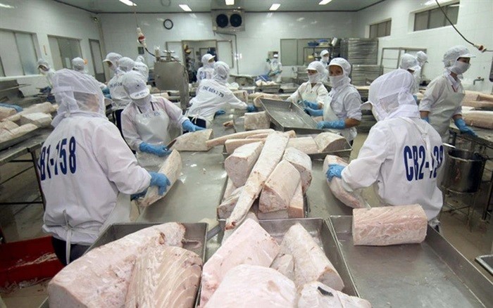 
Hàng năm, doanh thu của công ty giới thiệu lên đến 310 triệu USD đã bao gồm 280 triệu USD cho các sản phẩm cá ngừ cũng như cá pelagic
