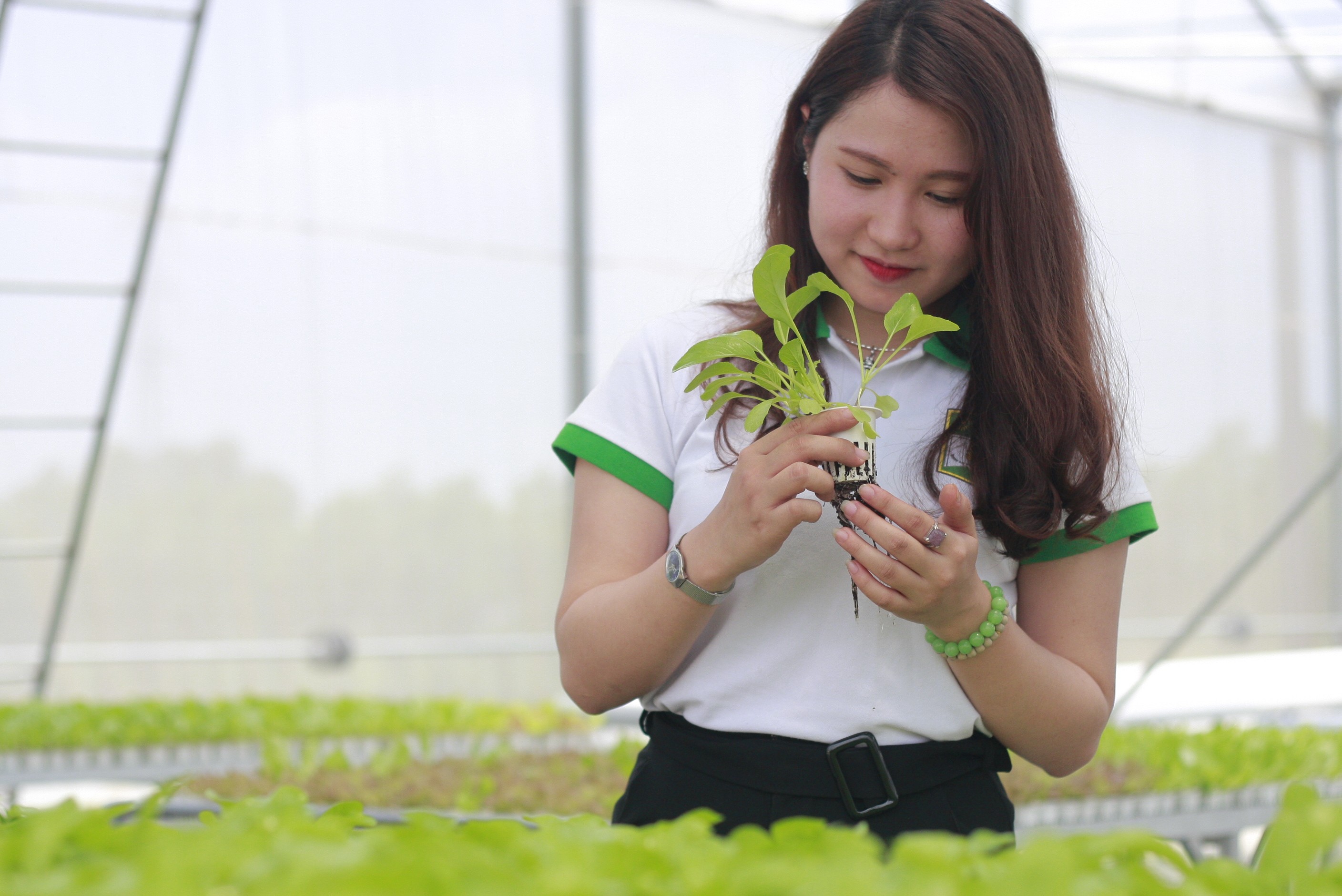 
Hiện nay, ngành phát triển nông thôn đã được đưa vào giảng dạy trong nhiều trường đại học. Ảnh minh họa
