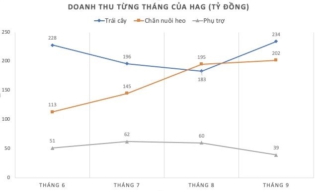 Doanh thu từng tháng của HAG. Đơn vị tính: Tỷ đồng
