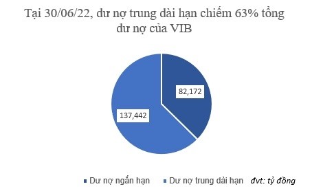 
Dư nợ trung dài hạn chiếm 63% tổng dư nợ của VIB
