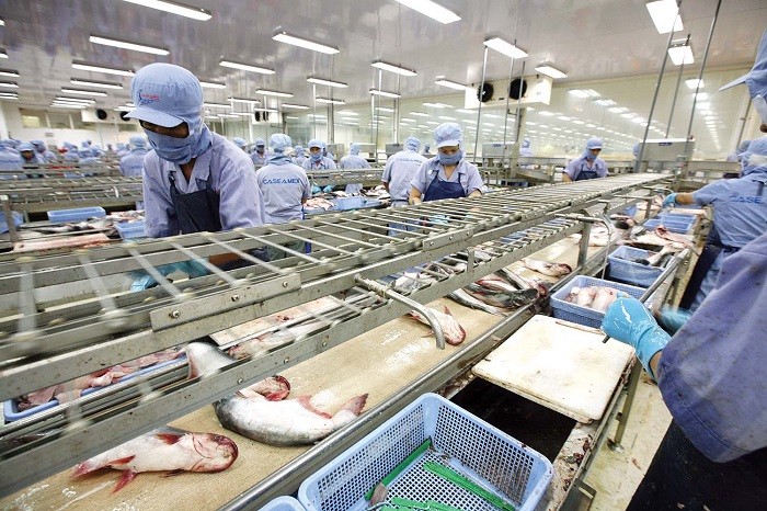 
Trung Quốc là thị trường xuất khẩu chính của thủy sản Việt Nam
