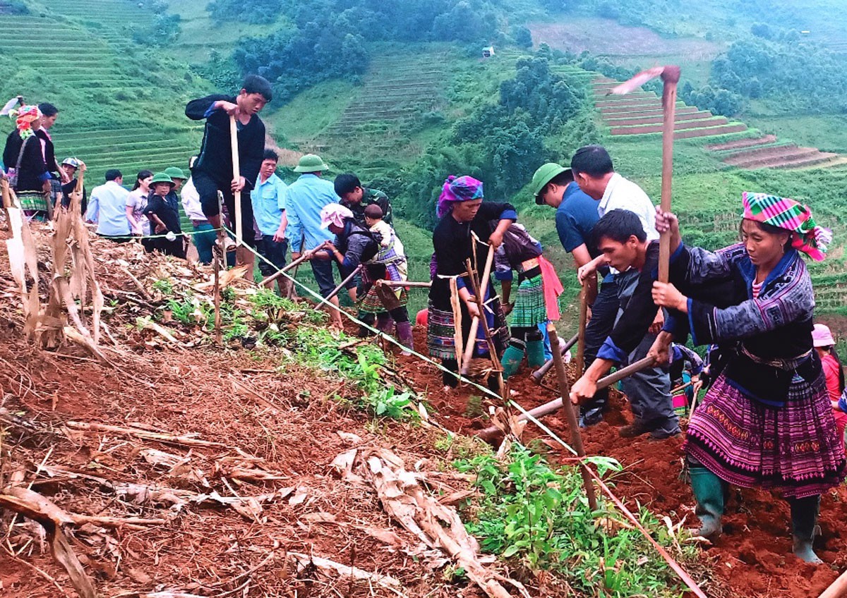 
Đất khai hoang có được cấp sổ đỏ không?
