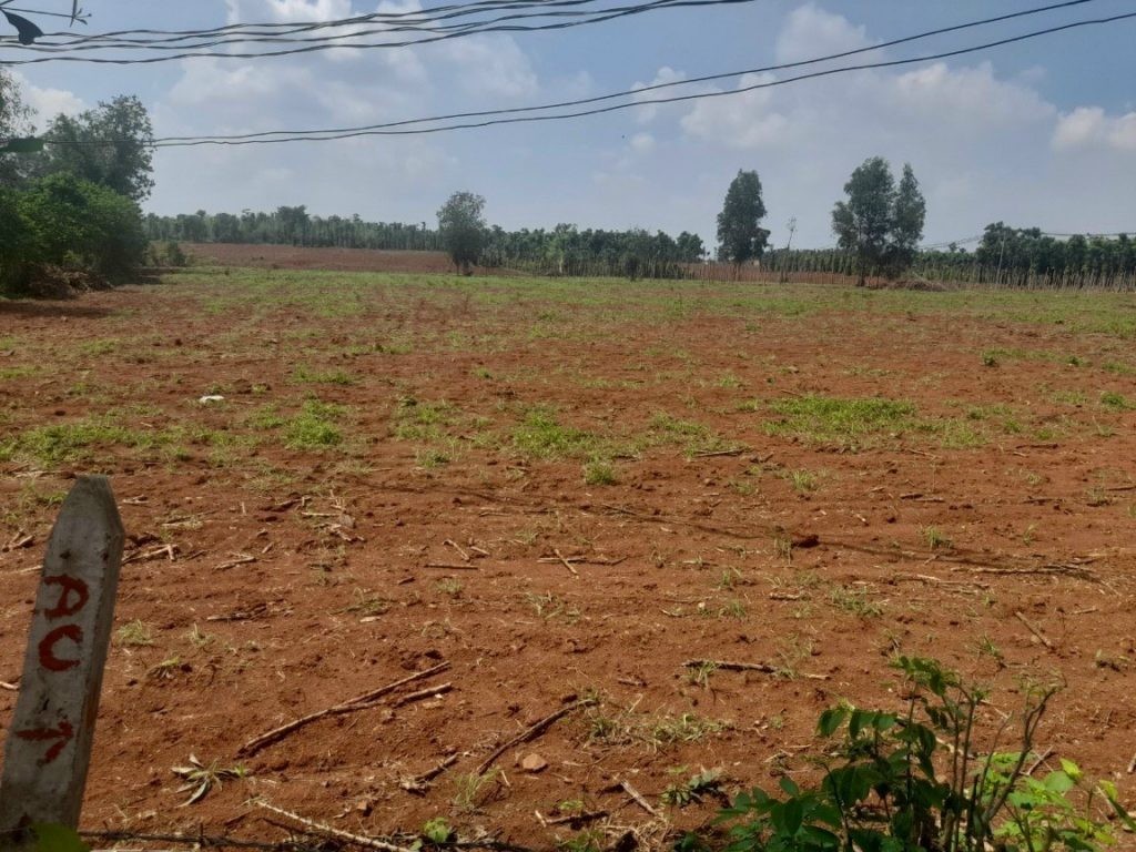 Chuyển đất thổ canh sang đất thổ cư như nào?