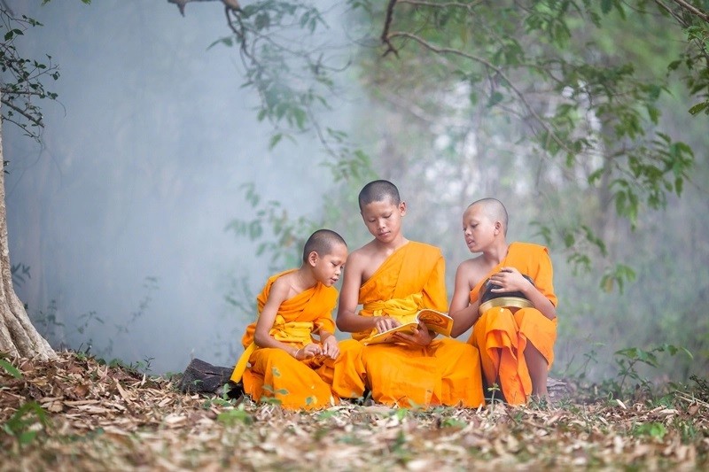 

Theo Phật giáo, thông thường thì những bậc cha mẹ có cuộc sống khó khăn thì luôn cố gắng có cuộc sống giàu có và sung túc để cho con cái của mình bớt khổ nhưng đó lại không phải là sự tập trung cần được khuyến khích
