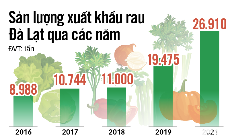 
Số liệu mới nhất từ Bộ Công Thương cho thấy, trị giá xuất khẩu rau củ quả của Việt Nam ước tính trong tháng 9 này là 250 triệu USD, so với cùng kỳ năm trước đã tăng 8,1%
