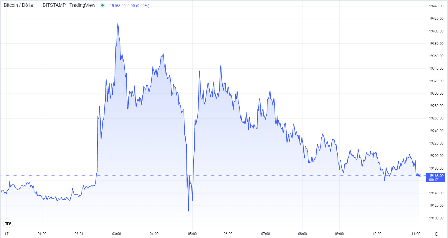 
Diễn biến giá Bitcoin hôm nay. Nguồn TradingView
