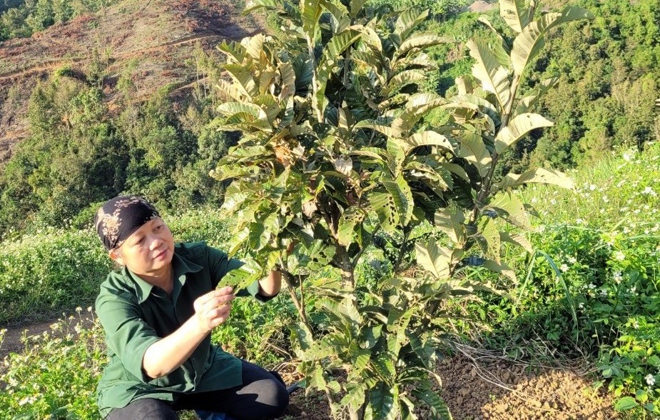 

Chị bộc bạch, sinh ra đã nghèo khó rồi, dù chăm chỉ đấy nhưng cái duyên giàu nó chưa đến, chị nghĩ lẽ nào lại cứ chịu cảnh mãi thế
