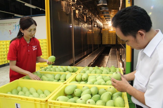 
Cần có những giải pháp dài hạn cho việc xuất khẩu trái cây tươi Việt Nam
