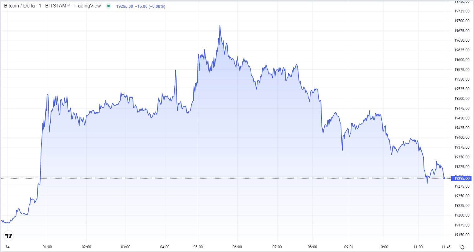 
Diễn biến giá Bitcoin hôm nay 24/10. Nguồn TradingView
