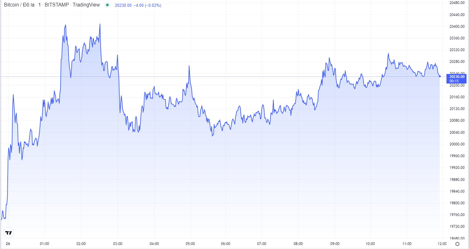 
Diễn biến giá Bitcoin hôm nay 26/10. Nguồn TradingView
