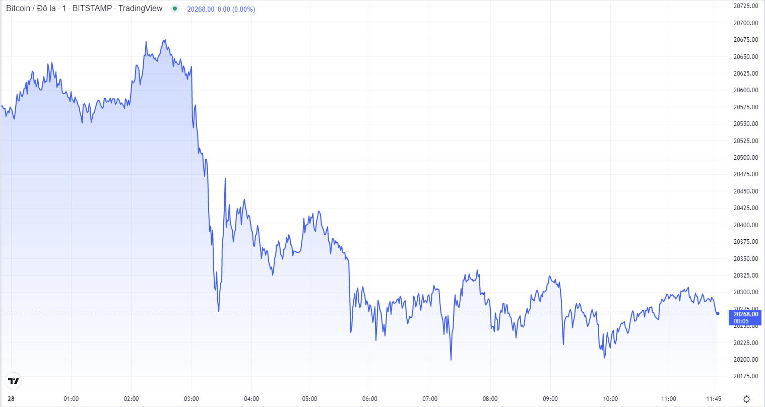 
Diễn biến giá Bitcoin hôm nay 28/10. Nguồn TradingView
