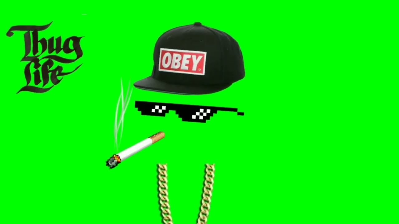 
Thug life meme có nghĩa là hiện tượng lan truyền về Thug life trong một cộng đồng giới trẻ với hình ảnh biểu tượng là cái kính và điếu thuốc. Ảnh minh hoạ
