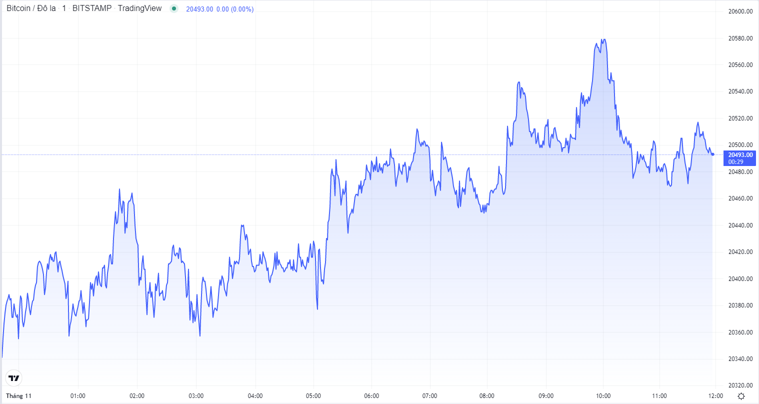 
Diễn biến giá Bitcoin hôm nay 1/11. Nguồn TradingView
