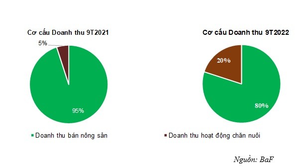 
Cơ cấu doanh thu của BaF
