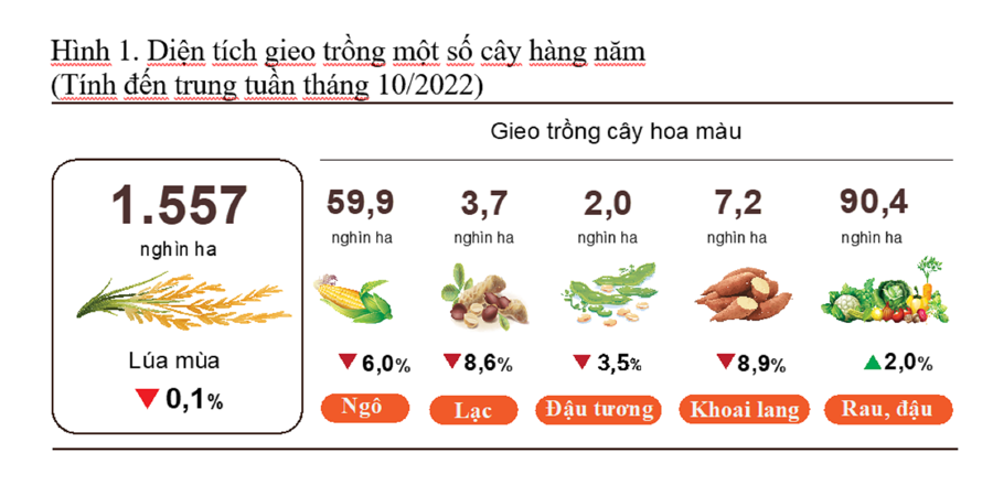 
Diện tích gieo trồng một số cây hàng năm
