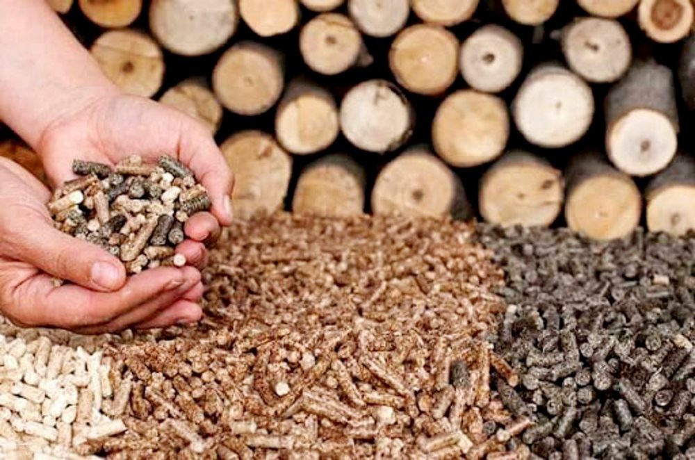 
Thời gian vừa qua, việc sản xuất và xuất khẩu viên nén gỗ không ngừng phát triển cả về quy mô đến chất lượng
