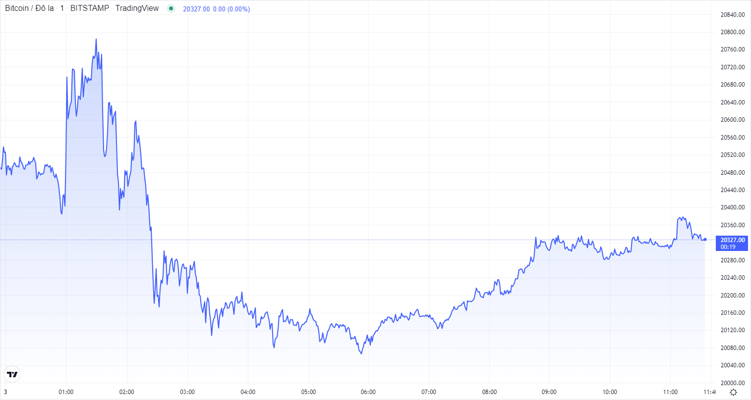 
Diễn biến giá Bitcoin hôm nay 3/11. Nguồn TradingView
