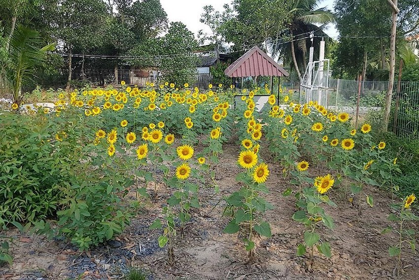 “Cái khó, ló cái khôn” của những nhà đầu tư đang mắc kẹt đất vùng ven - ảnh 1