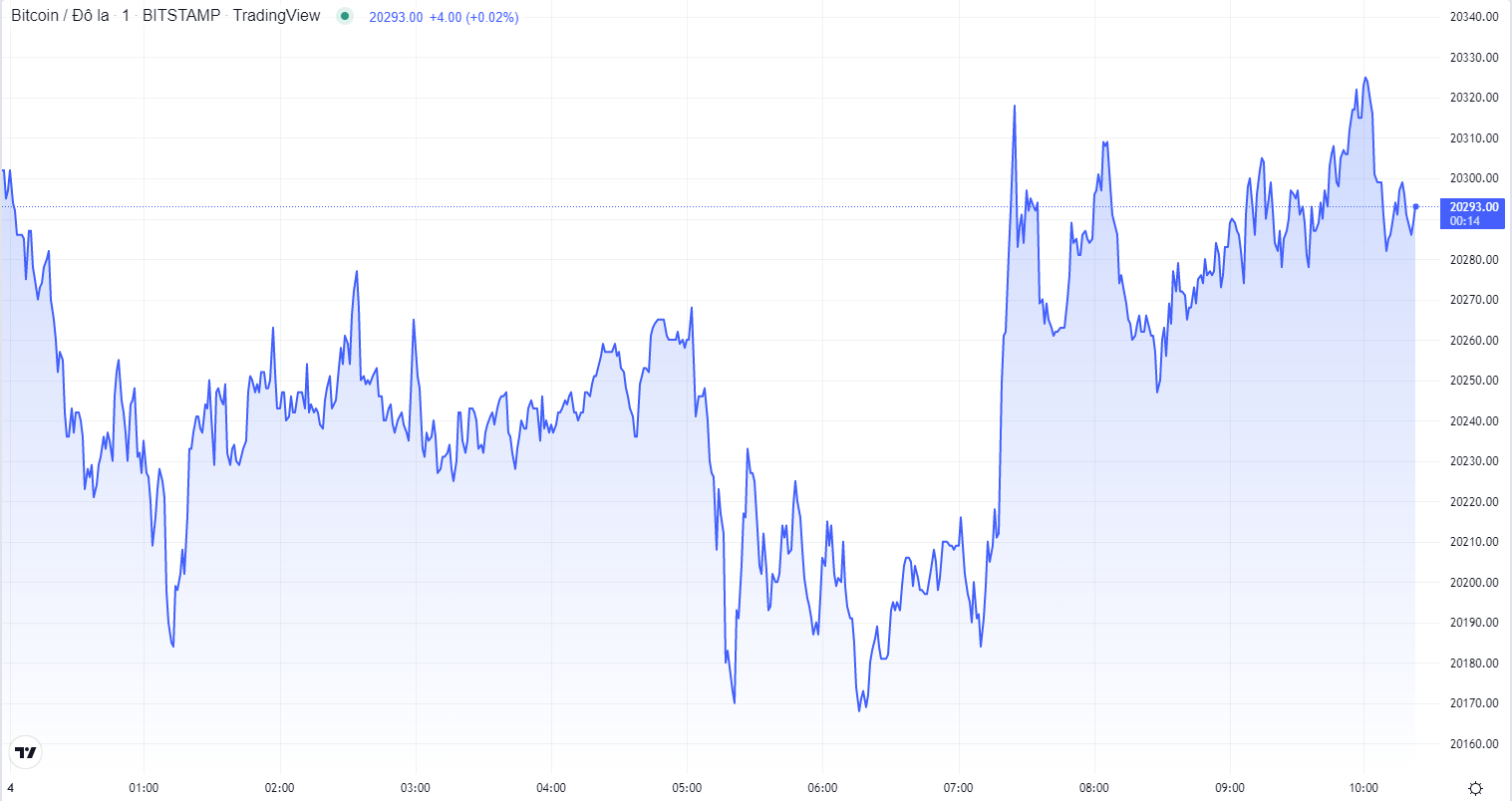 
Diễn biến giá Bitcoin hôm nay 4/11. Nguồn TradingView
