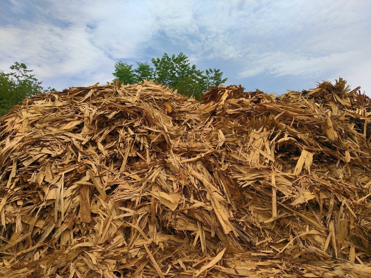 
Phần lớn viên nén gỗ được làm từ phụ phẩm của ngành lâm nghiệp như ngọn, cành, bìa bắp, vỏ bào, mùn cưa, gỗ vụn.
