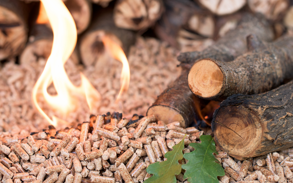 
Nhu cầu viên nén gỗ trên thế giới tăng cao do cuộc khủng hoảng nhiên liệu đốt và thay thế nguyên liệu hóa thạch bằng các nguồn nguyên liệu sinh học.
