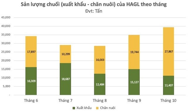 Sản lượng chuối (xuất khẩu - chăn nuôi) của Hoàng Anh Gia Lai theo tháng. Đơn vị tính: Tấn