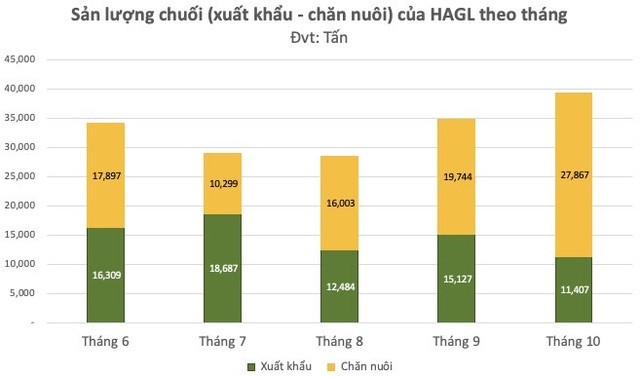 

Sản lượng chuối (xuất khẩu - chăn nuôi) của Hoàng Anh Gia Lai theo tháng. Đơn vị tính: Tấn
