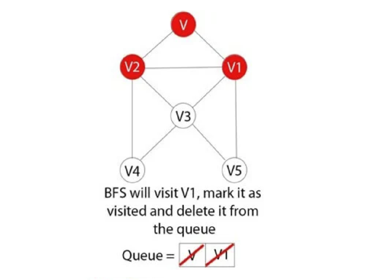 
BFS sẽ truy cập V1 và đánh dấu nó là đã truy cập và xóa nó khỏi hàng đợi.
