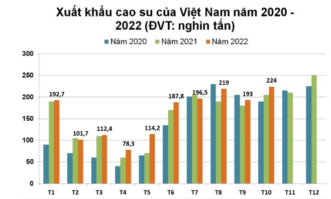 
Xuất khẩu cao su tính tổng 10 tháng năm 2022 đạt 1,62 triệu tấn
