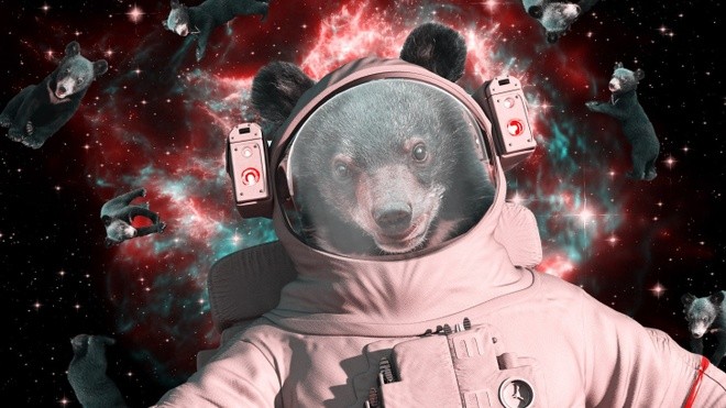 
Tranh biếm họa cho bài đăng nói về loài gấu trong vũ trụ mà Galactica tạo ra
