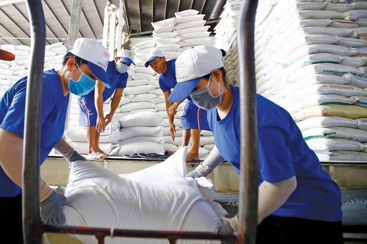 

Nếu tính đến hết tháng 10/2022, xuất khẩu gạo của vùng Đồng bằng Sông Cửu Long đạt mức hơn 6 triệu tấn với trị giá khoảng 3 tỷ USD
