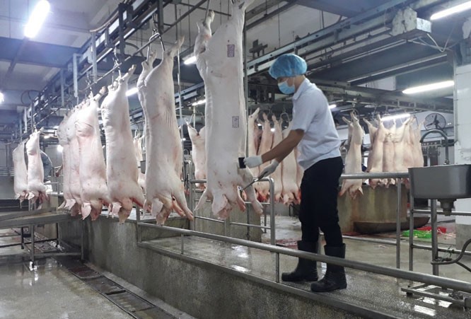 Việt Nam nhập khẩu hơn 3 tỷ USD sản phẩm chăn nuôi dù nguồn cung nội địa vẫn dồi dào - ảnh 3