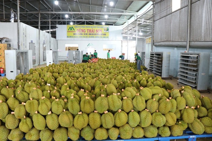Doanh nghiệp rau quả có cơ hội lớn để tăng doanh thu khi đón đầu làn sóng tiêu thụ từ Trung Quốc - ảnh 3