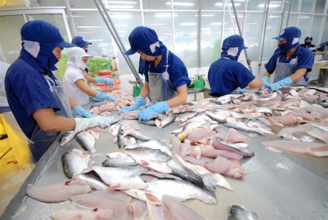 Từ sau quý 2/2022 đến cuối năm, cũng bởi lạm phát tăng ở các nước châu Âu, Mỹ mà ngành cá tra cũng đã bị ảnh hưởng mặc dù được xem là thực phẩm thiết yếu