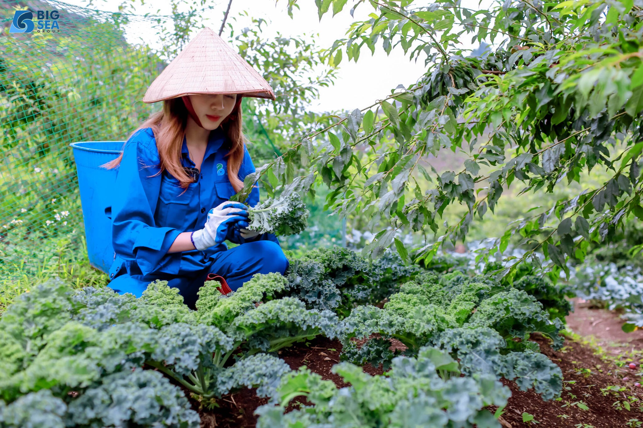 
Việt Nam là quốc gia có thế mạnh về phát triển nông nghiệp
