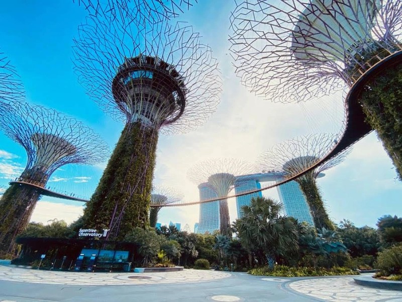 
Gardens by the Bay (Singapore) - một trong những kiến trúc hiện đại của châu Á nổi tiếng khắp thế giới
