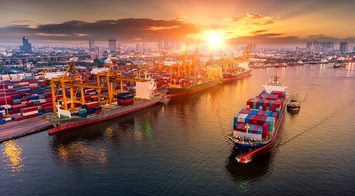 
Kim ngạch xuất nhập khẩu hàng hóa trong tháng đầu năm mới của Việt Nam đều sụt giảm
