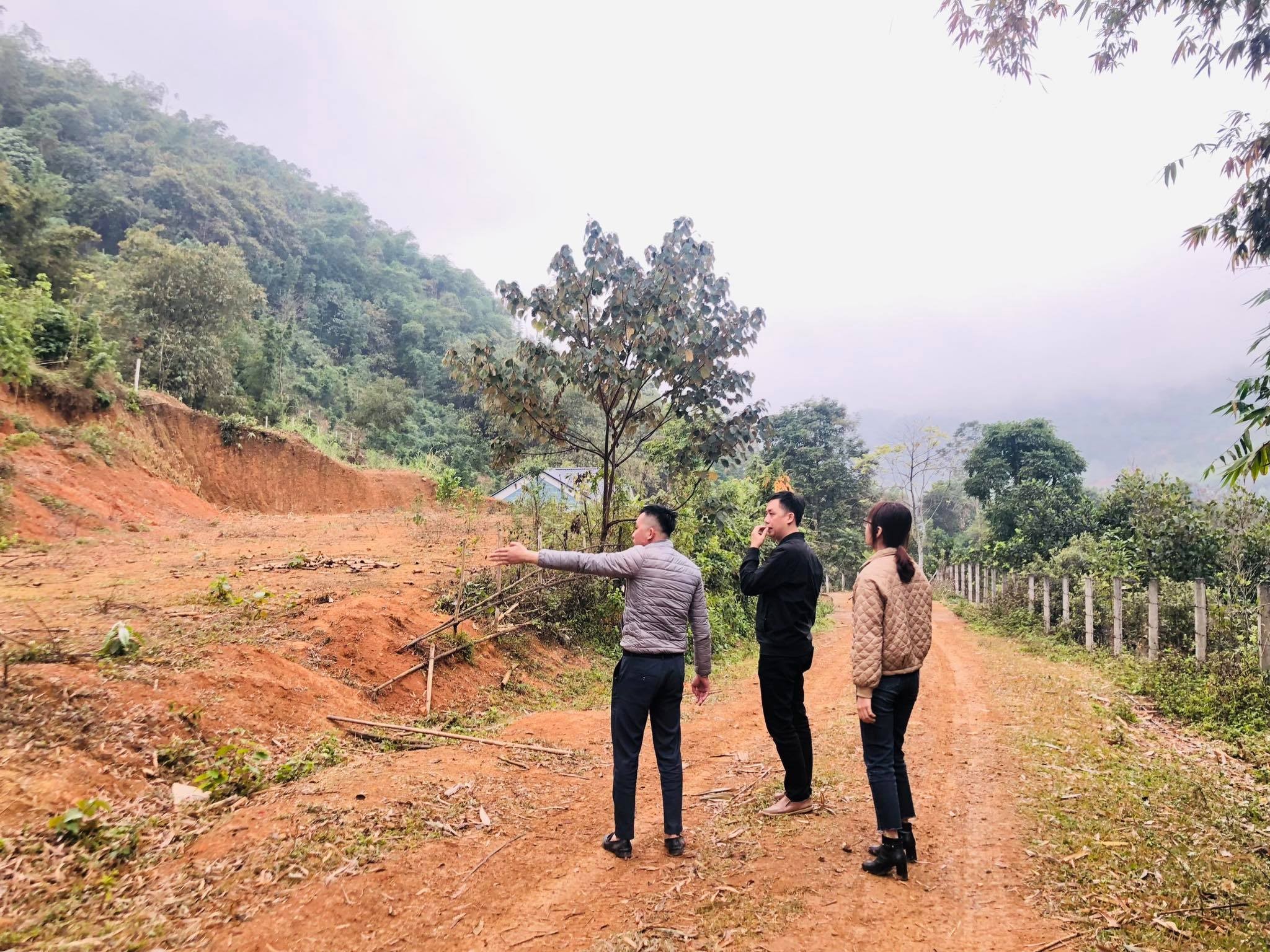 
Hòa Bình đang là một trong những địa phương bị đẩy giá bất động sản cao bất bình thường.&nbsp;Ảnh: Nguyên Hằng
