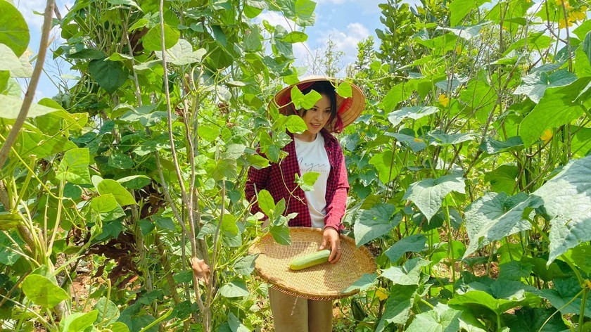 Việc làm nông nghiệp phải phụ thuộc rất lớn vào việc sử dụng đất đai để chăn nuôi, trồng trọt, khai thác cây trồng. Ảnh minh hoạ