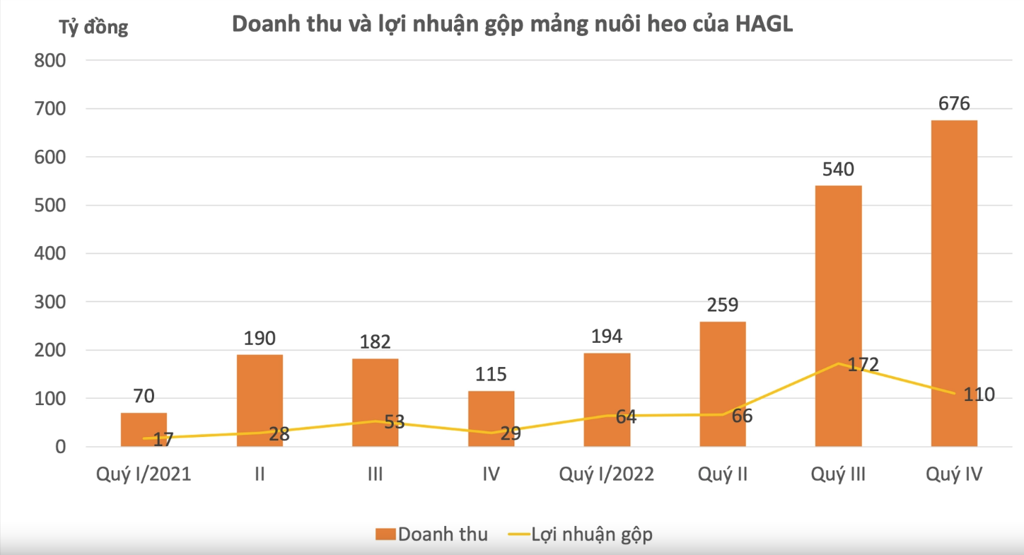 
Doanh thu và lợi nhuận gộp của mảng nuôi heo của HAGL trong quý 4/2022 lần lượt là 676 tỷ đồng và 110 tỷ đồng. Nguồn: BCTC của HAGL
