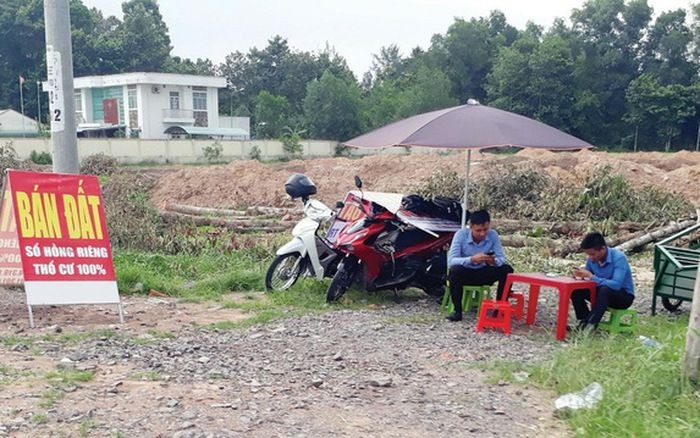 
Thị trường BĐS từng ghi nhận tình trạng “tranh giành” sản phẩm để mua vào
