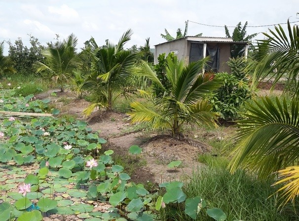 
Tranh chấp đất đai có thể khởi kiện ra Tòa án để giải quyết
