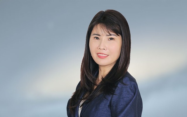 
Trước khi gia nhập Tập đoàn FLC vào tháng 08/2019, bà Đặng Thị Lưu Vân là Phó Chủ tịch thường trực của Tập đoàn Sunshine, từng khoảng thời gian dài làm việc tại nhiều doanh nghiệp như TPBank, SeaBank, Mizuho Corporate Bank, Techcombank…
