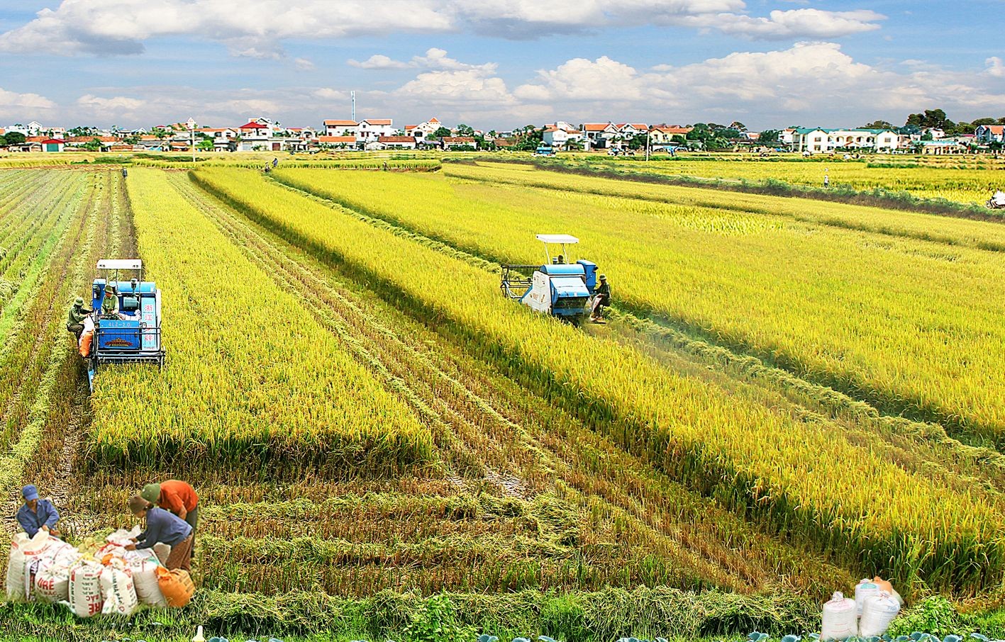 
Nhà nước có chính sách bảo vệ riêng đối với một số loại đất
