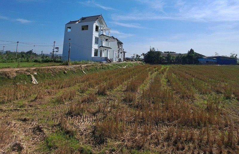 Nhiều quận, huyện tại Hà Nội đã siết chặt việc chuyển đổi đất nông nghiệp sang đất thổ cư