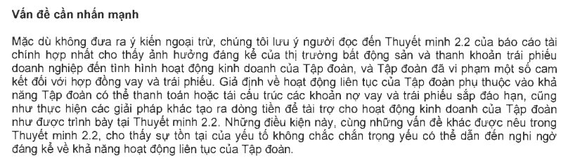 Novaland (NVL) công bố BCTC kiểm toán, lãi sau thuế giảm 111 tỷ so với báo cáo tự lập - ảnh 3