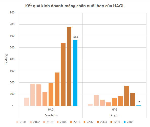 
Dù không ghi nhận lợi nhuận cụ thể từ heo nhưng chủ trương của HAGL trong năm 2023 là xác định mảng heo sẽ không có lãi
