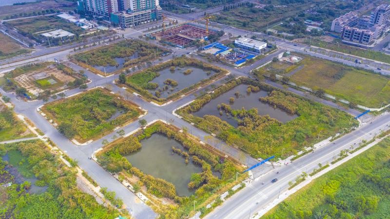 Nhiều bất cập nếu chậm trễ áp dụng bảng giá đất mới